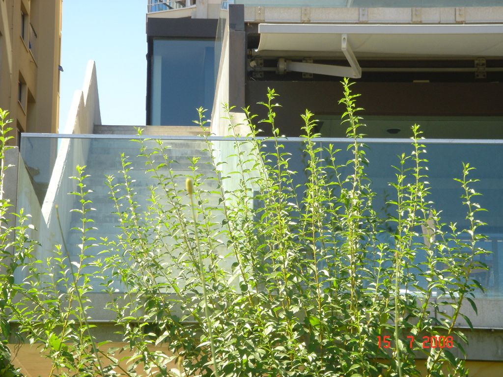 CattolicaHotelVictoriaPalace 066